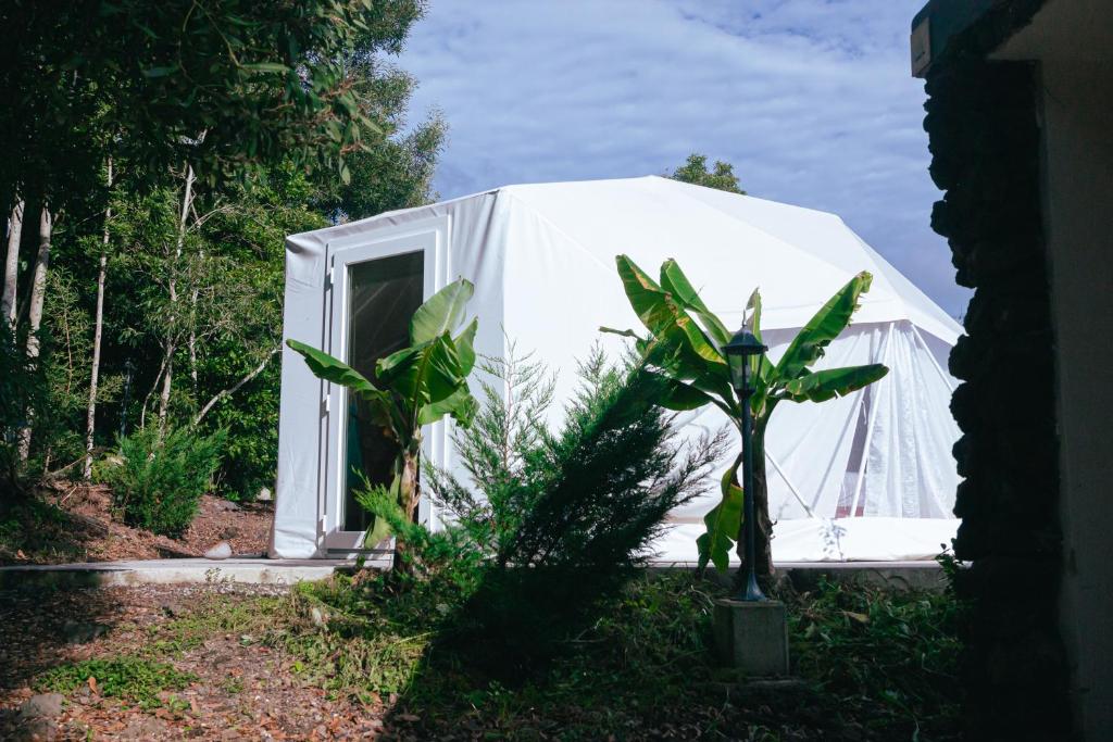 Zahrada ubytování Quinta do Abacate - Glamping Park