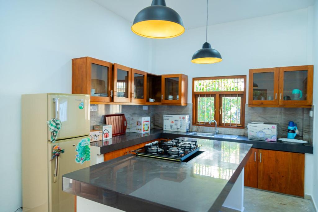 Kuchyň nebo kuchyňský kout v ubytování Villa Green Space