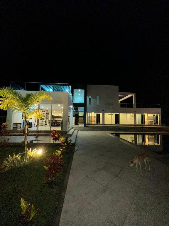 un gato caminando delante de un edificio por la noche en FINCA EL GALEM, en Guamal