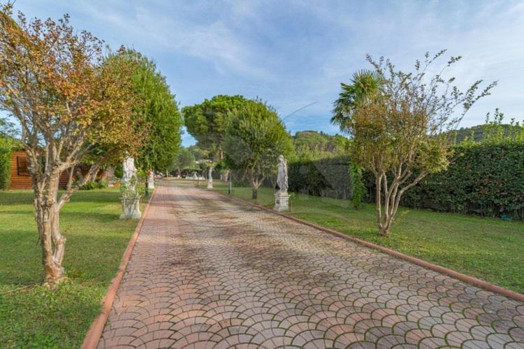 Zahrada ubytování Albero del Pepe 2 - Goelba