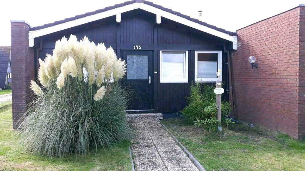 Zahrada ubytování Studiohaus PIRATENWEG 145