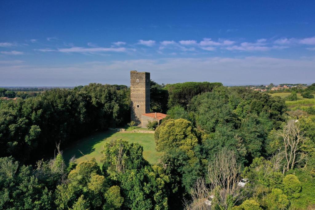 una vista in alto di una torre nel mezzo di una foresta di Torre delle Cornacchie a Roma