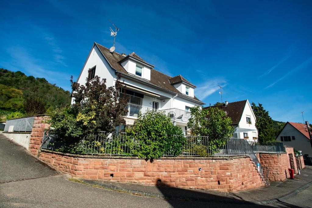 Gite Les deux belettes - Appartements meublés à Riquewihr - Vue vignoble – photo 33