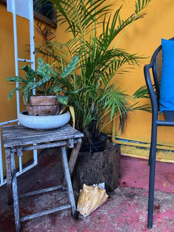 Fotografie z fotogalerie ubytování BnB SoMom Mobay Lodging v destinaci Montego Bay