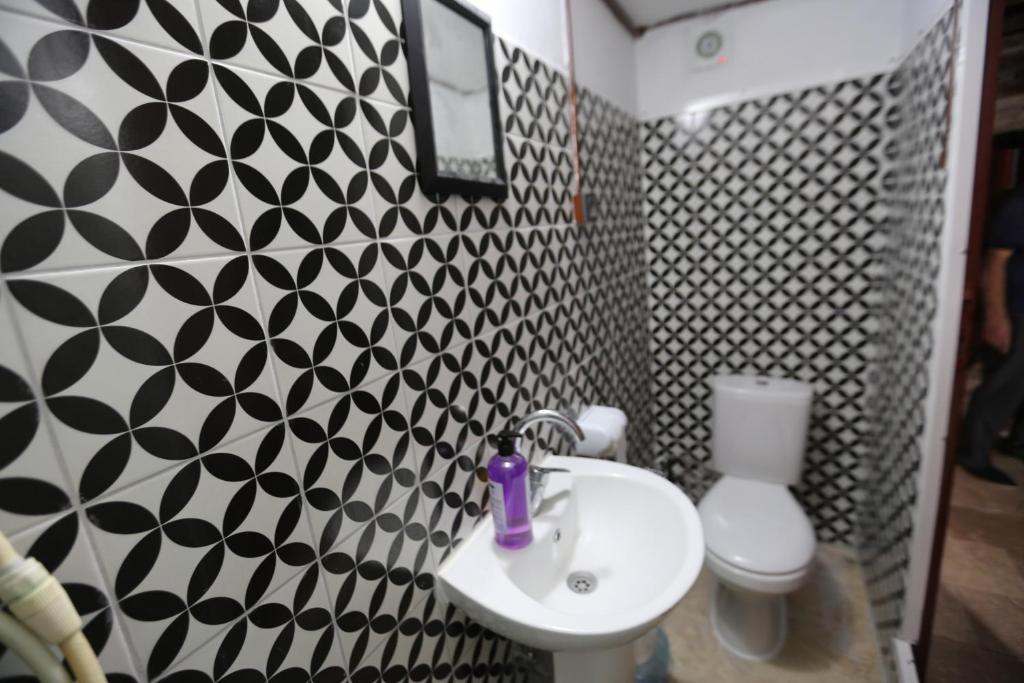 Helvacılar Konağı في Karacasu: حمام مع حوض أبيض ومرحاض