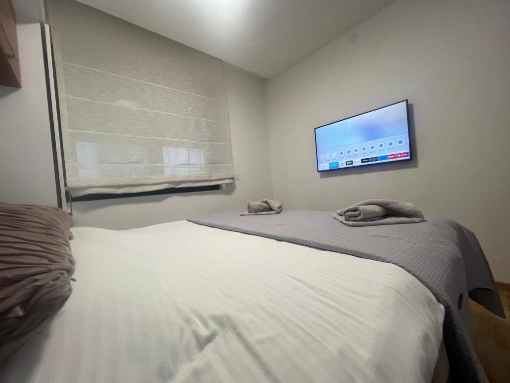 TV a/nebo společenská místnost v ubytování Golden Forest apartman 7