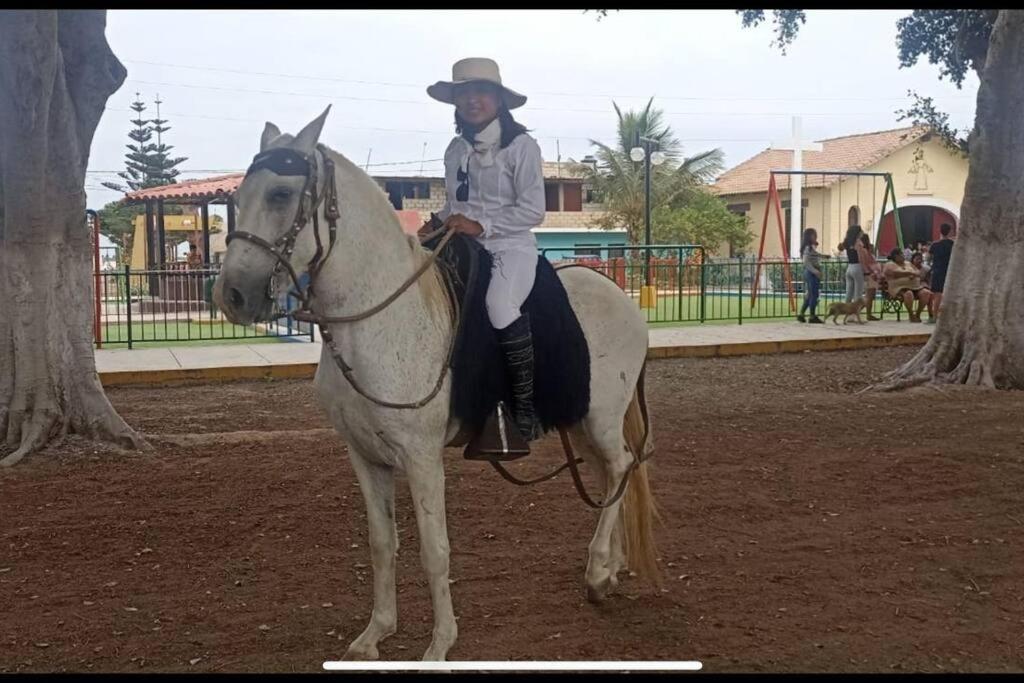 a woman riding a white horse in a park at Casa Villa María Huanchaco in Huanchaco