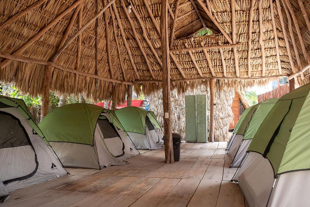 Fotografie z fotogalerie ubytování Mapache Hostel & Camping v destinaci Ostrov Holbox