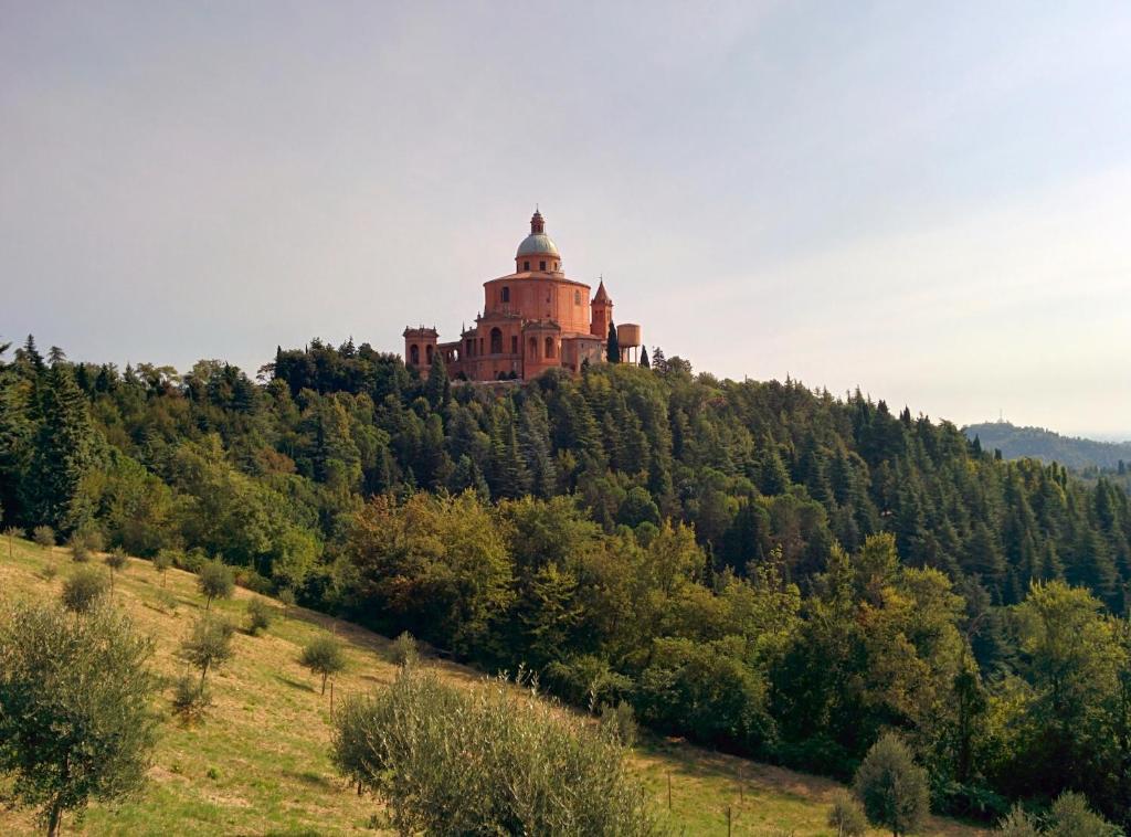 Příroda nedaleko apartmánu