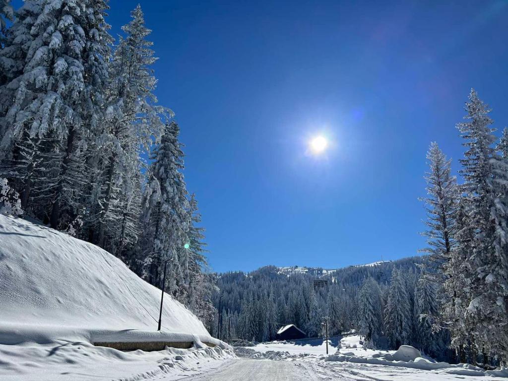 a road covered in snow with the sun in the sky at Zjsxx in Jahorina