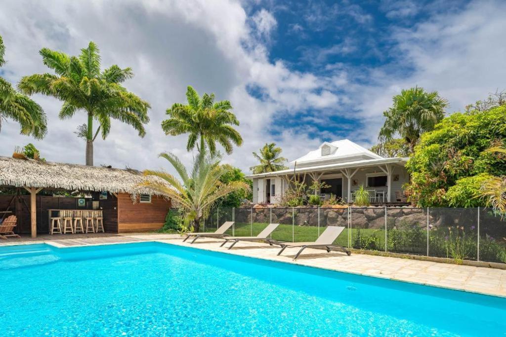 een zwembad voor een huis met palmbomen bij Villa Tikitanga avec piscine 10X5m à 650m de la mer in Saint-François