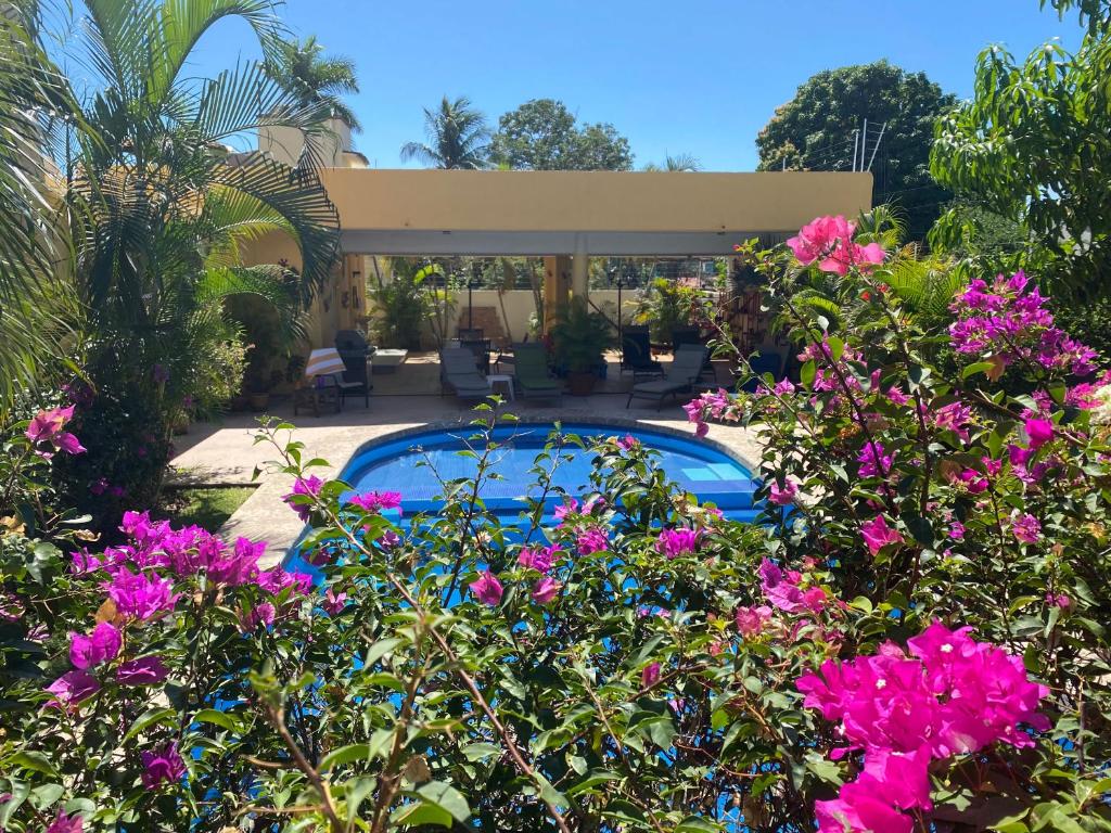 un jardín con flores rosas y una piscina en Zandoyo Bed & Breakfast en Puerto Escondido