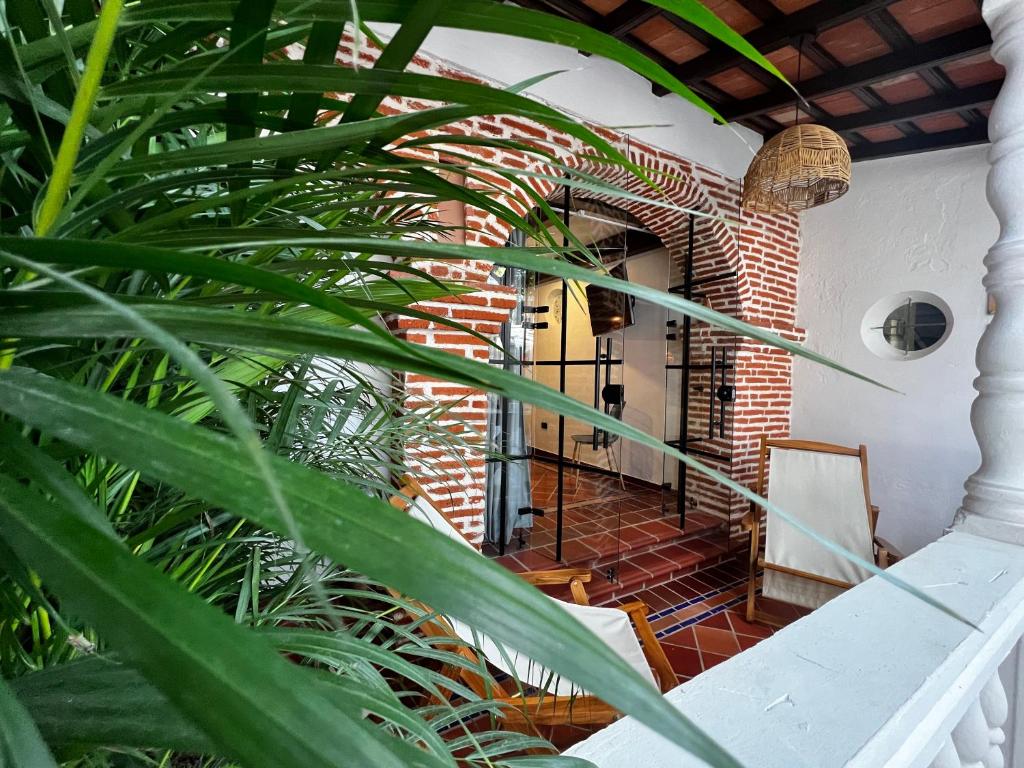 Fotografie z fotogalerie ubytování Los Patios Hostel v destinaci Cartagena