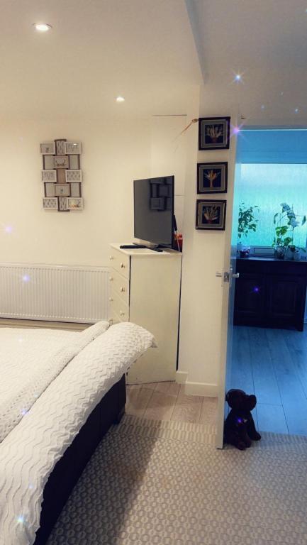 a bedroom with a bed and a television in it at Stay in Woking with Chidi in Horsell
