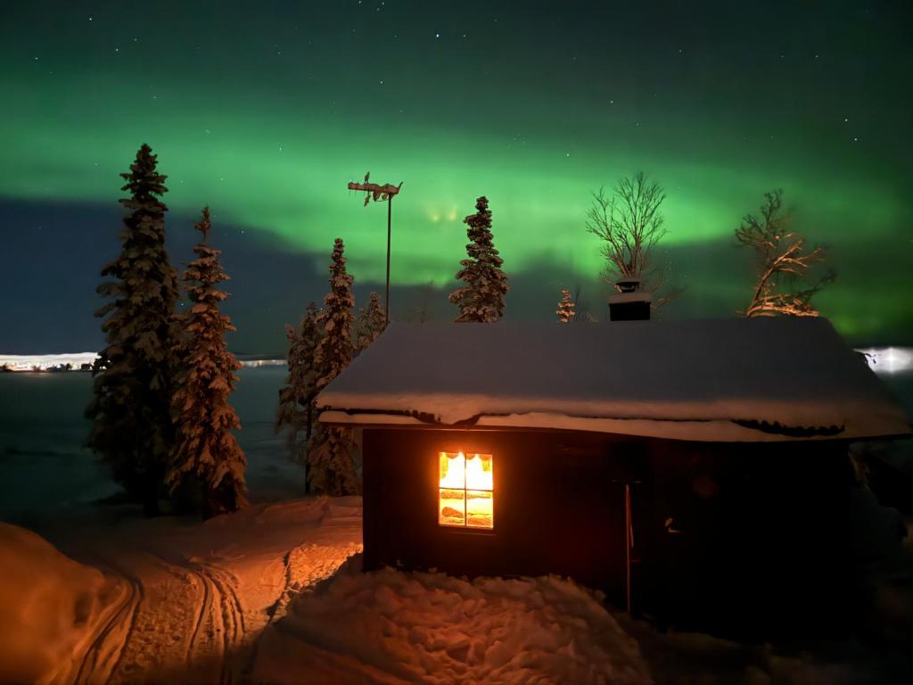 an igloo in the snow under the green northern lights at Northern Light Cabin with sauna by Torneriver in Kiruna