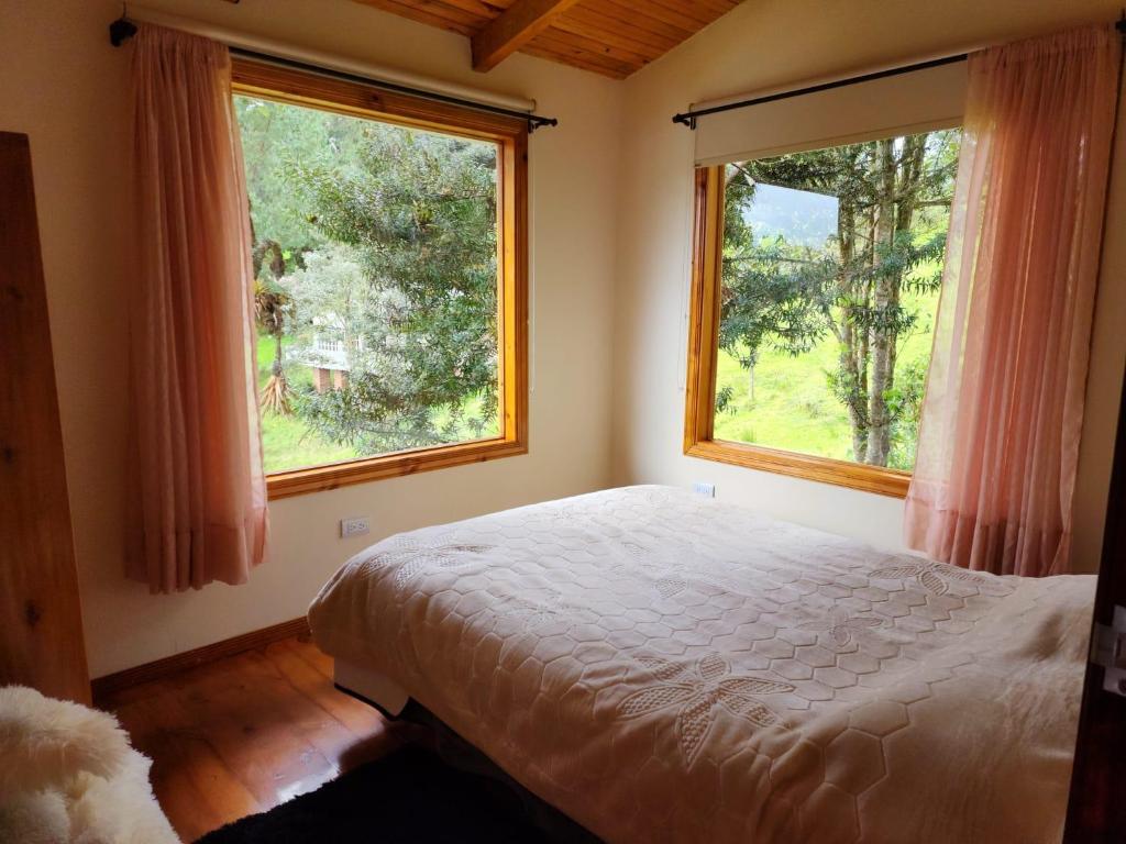 ein Schlafzimmer mit einem Bett und zwei großen Fenstern in der Unterkunft cabañas Arcoíris del lago Nº 5 in Pasto