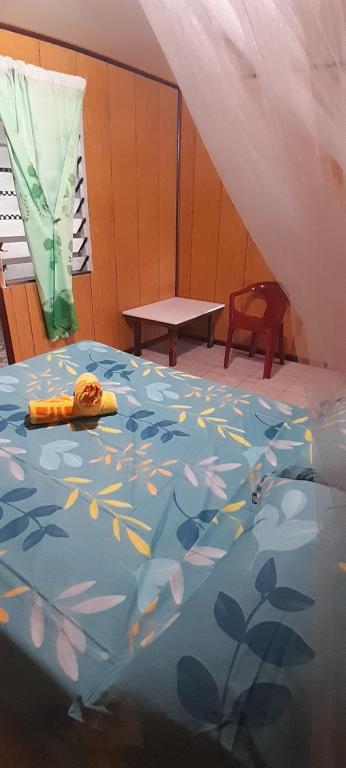 Penu maurua - photo 2 - Maupiti, Polynésie