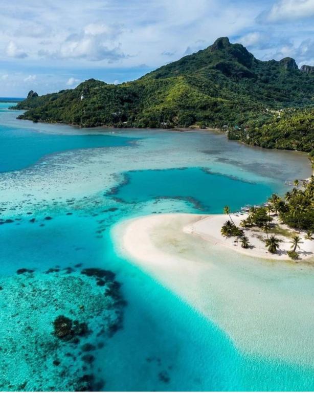 Penu maurua - photo 6 - Maupiti, Polynésie