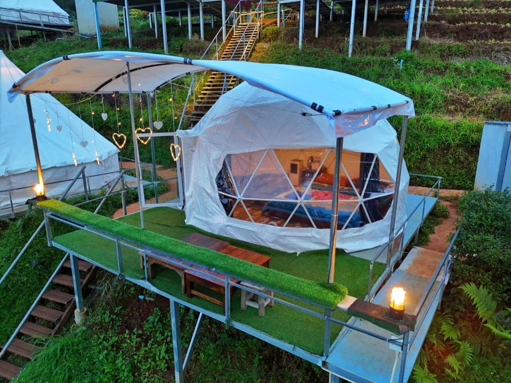 ein Leguan-Zelt im Gras aufgestellt ist in der Unterkunft มายด์โฮมสเตย์ in Mon Jam