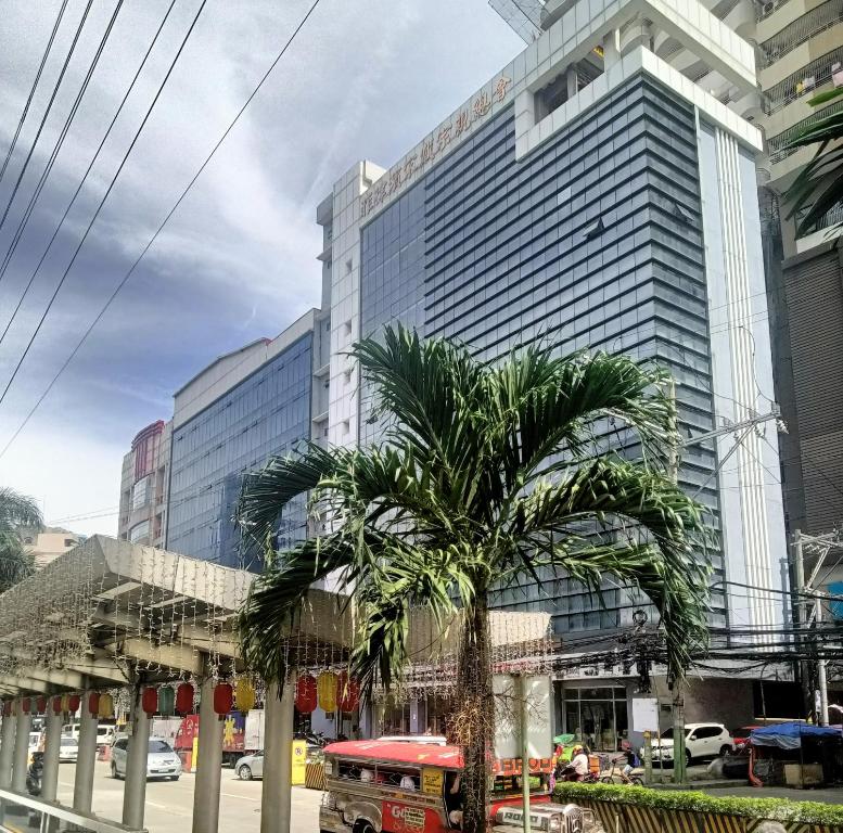 a palm tree in front of a tall building at pristine in Manila
