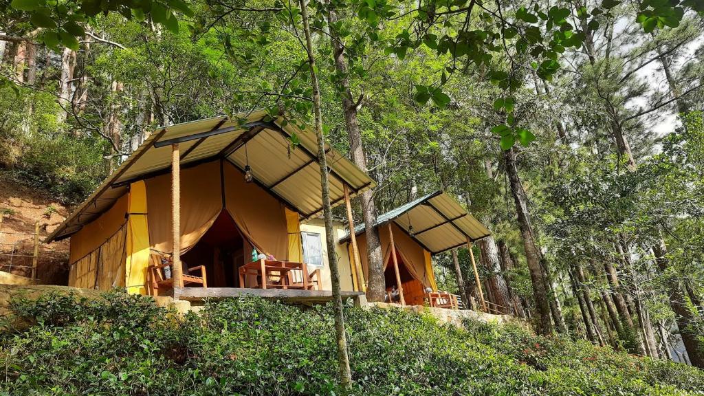 a yellow tent in the woods with tables and chairs at Eco Wild Glamping Bambarakanda 