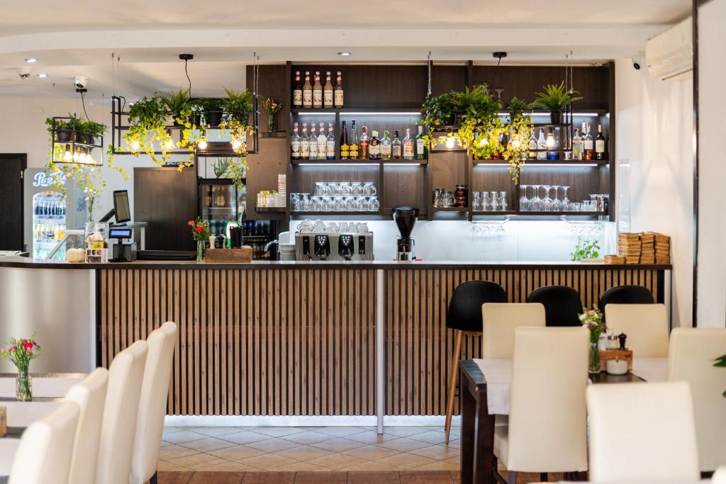 Modern bar counter with hanging plants, glassware and shelves stocked with spirits.