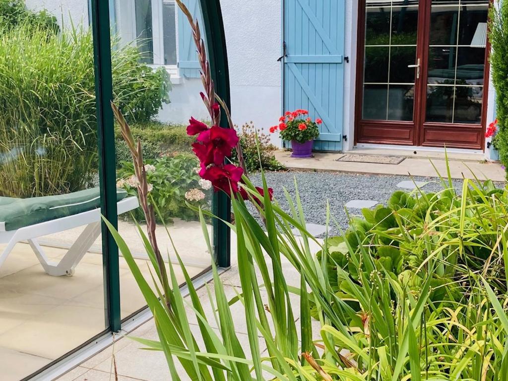 a red flower in front of a house at La Blatière French Cottages in La Chapelle-Saint-Étienne