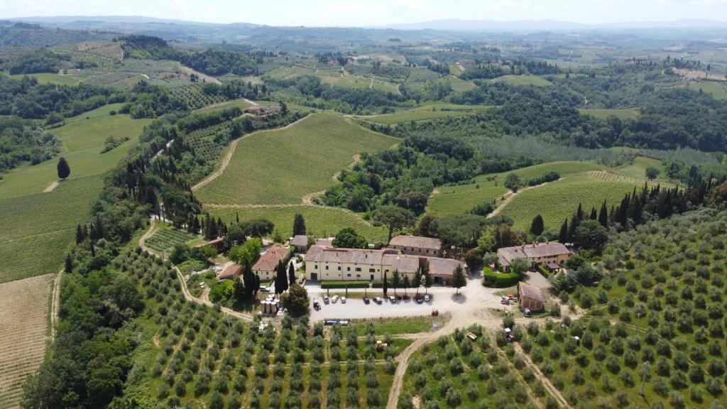 an aerial view of a house in a vineyard at Agriturismo Bio Fattoria Bacio in Certaldo