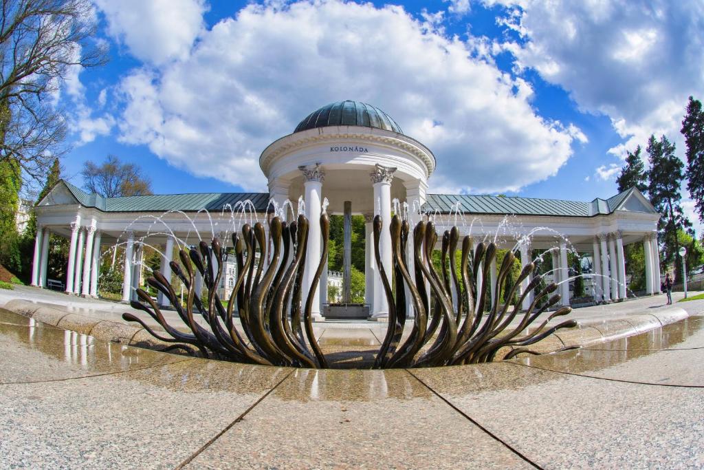 Schlosshotel Marienbad - Resim 11