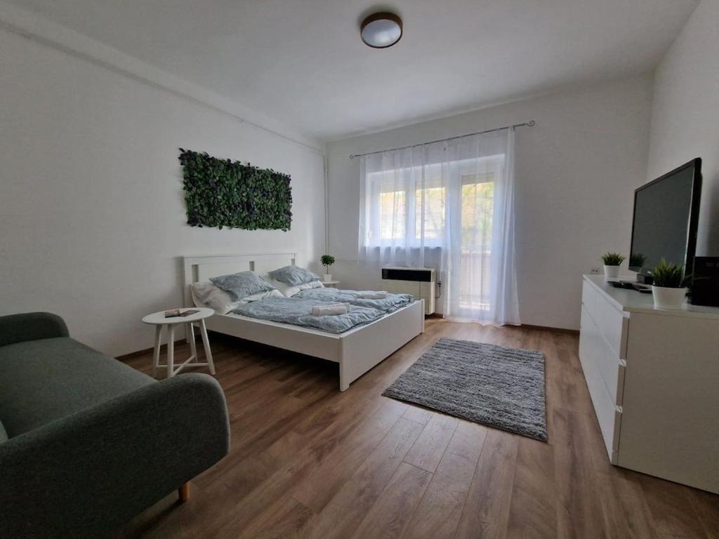 a bedroom with a bed and a couch and a tv at Szofi Apartman in Szeged