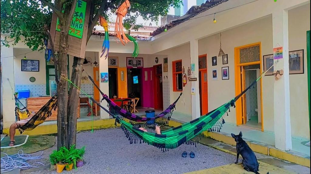 a hammock in front of a building with a tree at Hostel Recife Bar quartos climatizados das 22h às 6h in Recife