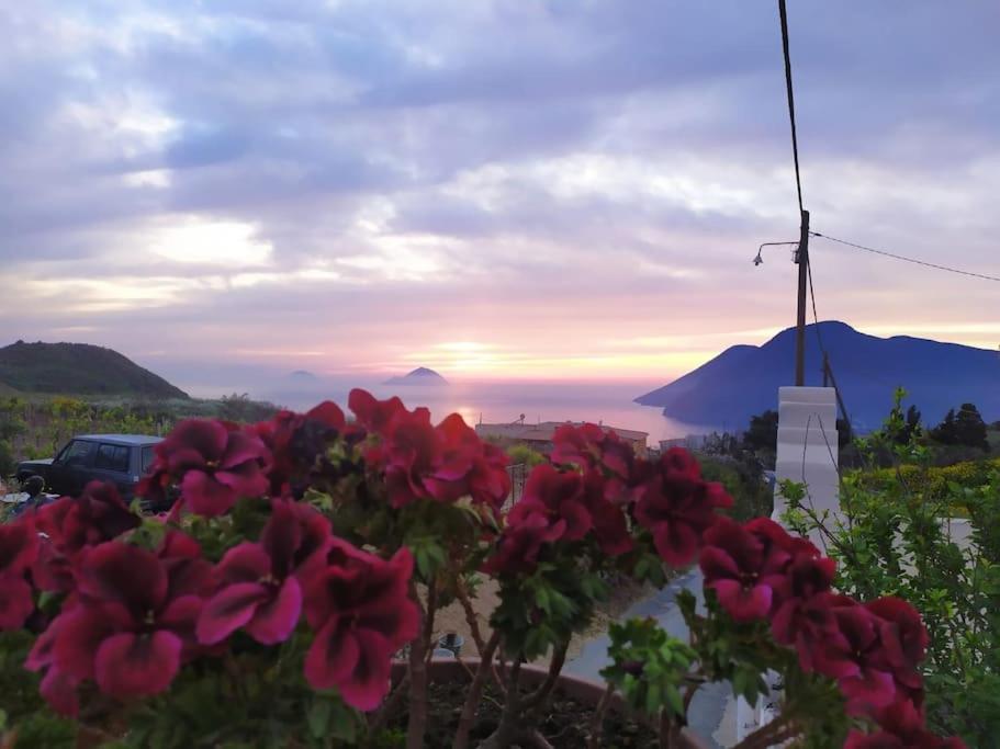 a group of flowers with a view of the ocean at Casa al tramonto...sunset lovers retreat in Lipari