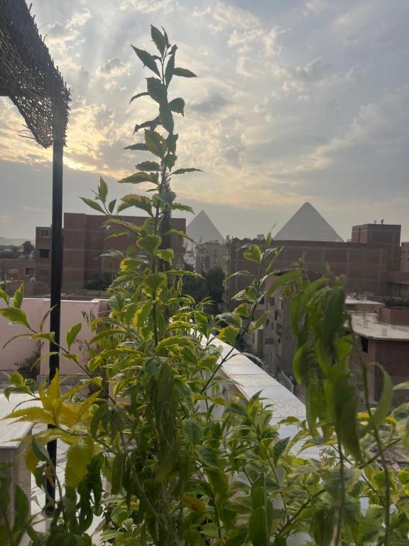 Fotografia z galérie ubytovania Badr pyramids inn v Káhire