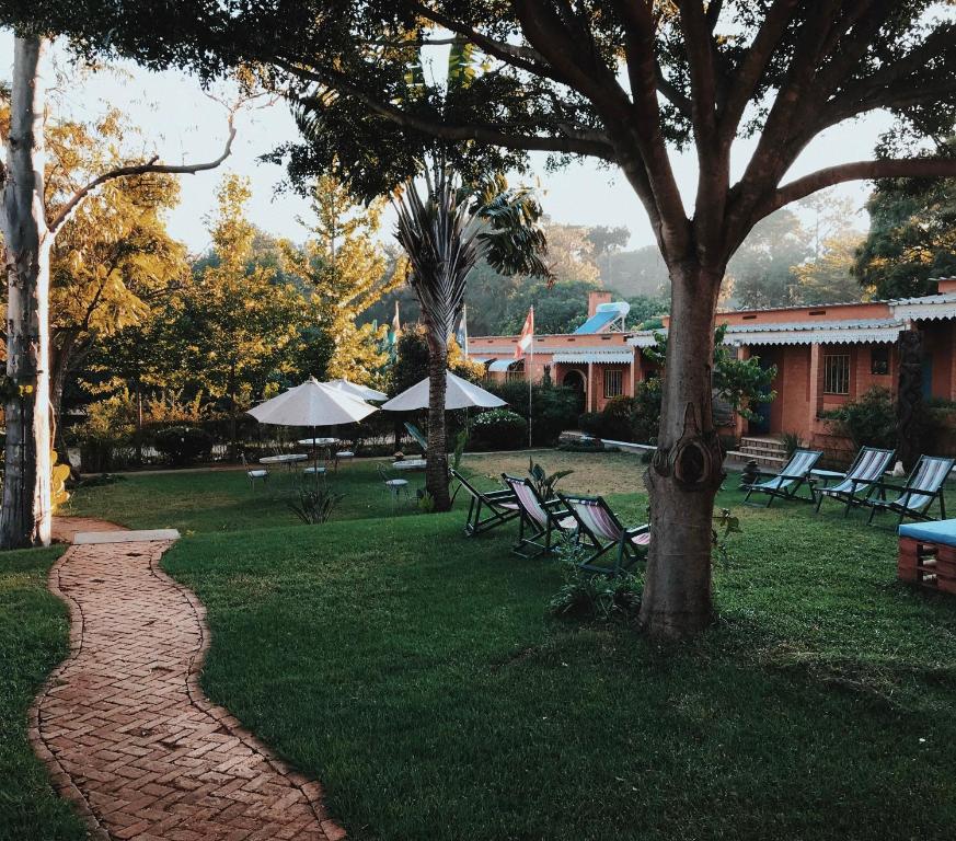 un parc avec des chaises et un arbre dans l'herbe dans l'établissement Hotel Mahavelo, à Antananarivo