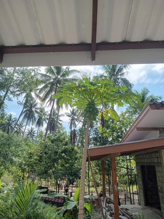 una palmera frente a una casa en Chom Suan Farmstay en Ko Kood