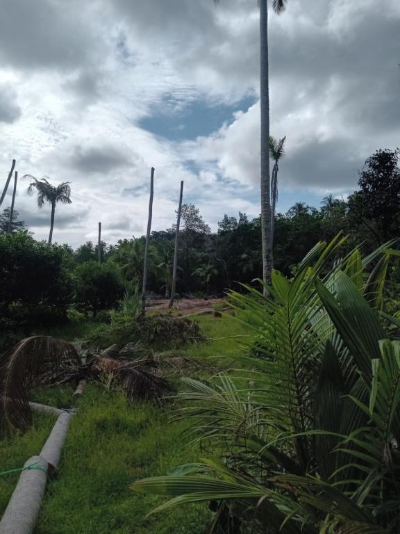 Chom Suan Farmstayにある庭