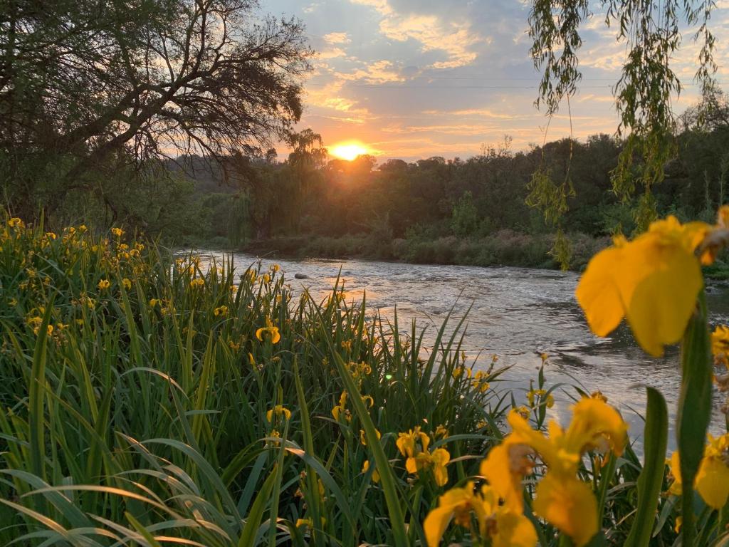 a river with flowers in the foreground and the sunset at Forestiva Farm - River Cottage in Centurion