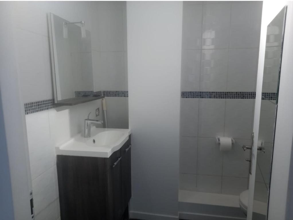 uma casa de banho com um lavatório e um chuveiro com um espelho. em Appartement de charme Toulouse nord em Aucamville