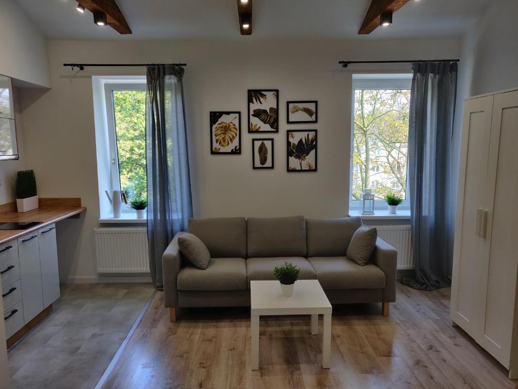 salon z kanapą i dwoma oknami w obiekcie Konopnickiej 9 Loft z antresolą w mieście Pabianice