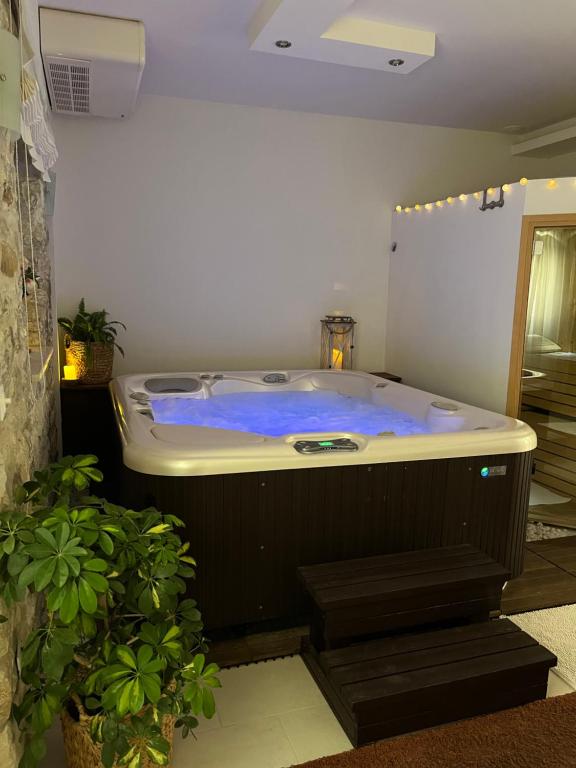 eine Whirlpool-Badewanne in einem Zimmer mit Pflanze in der Unterkunft Luxury Apartment Spa "Marina" in Makarska