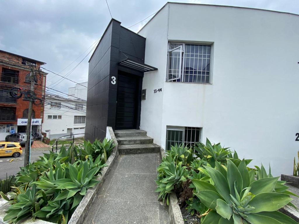 un bâtiment blanc avec une porte noire et quelques plantes dans l'établissement Apartamento Belen, à Manizales
