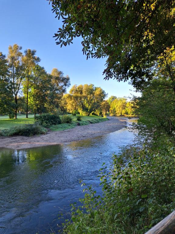 a view of a river with trees in the background at Ferienwohnung im Allgäu in Durach