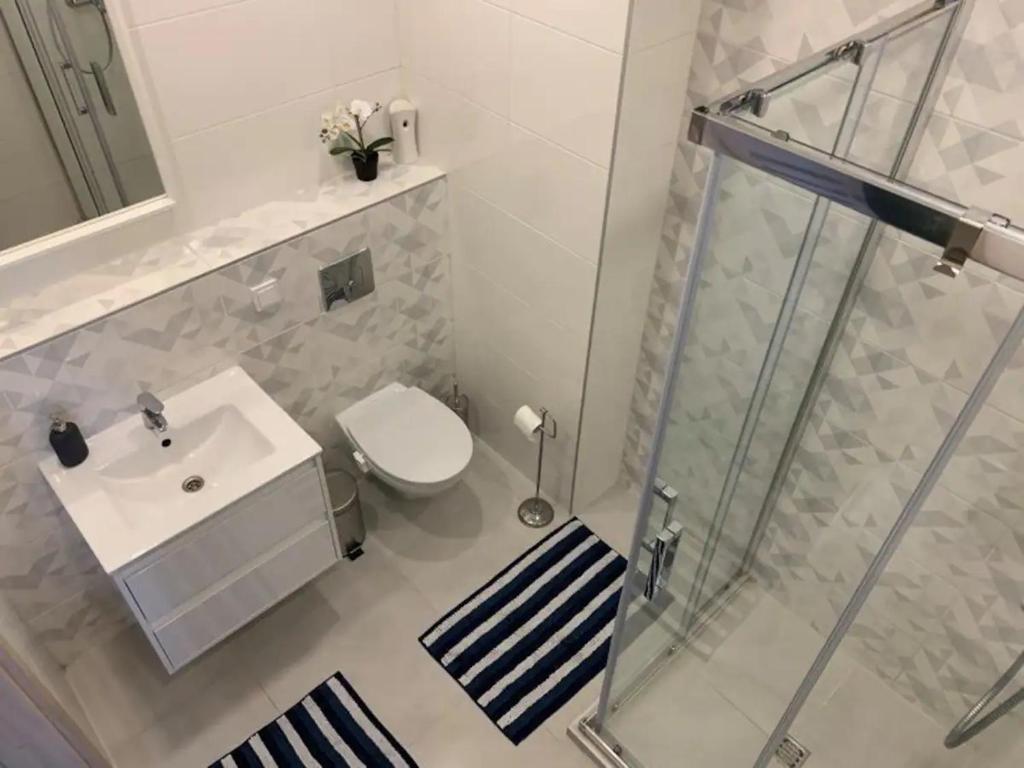 La salle de bains est pourvue de toilettes, d'un lavabo et d'une douche. dans l'établissement B23 Apartments, à Vilnius