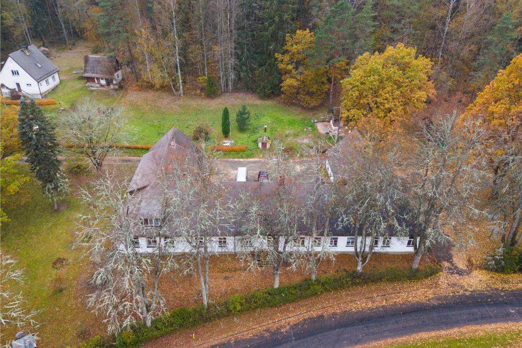 una vista aérea de una casa en el bosque en Pikasilla Puhke- ja Koolitusmaja, 