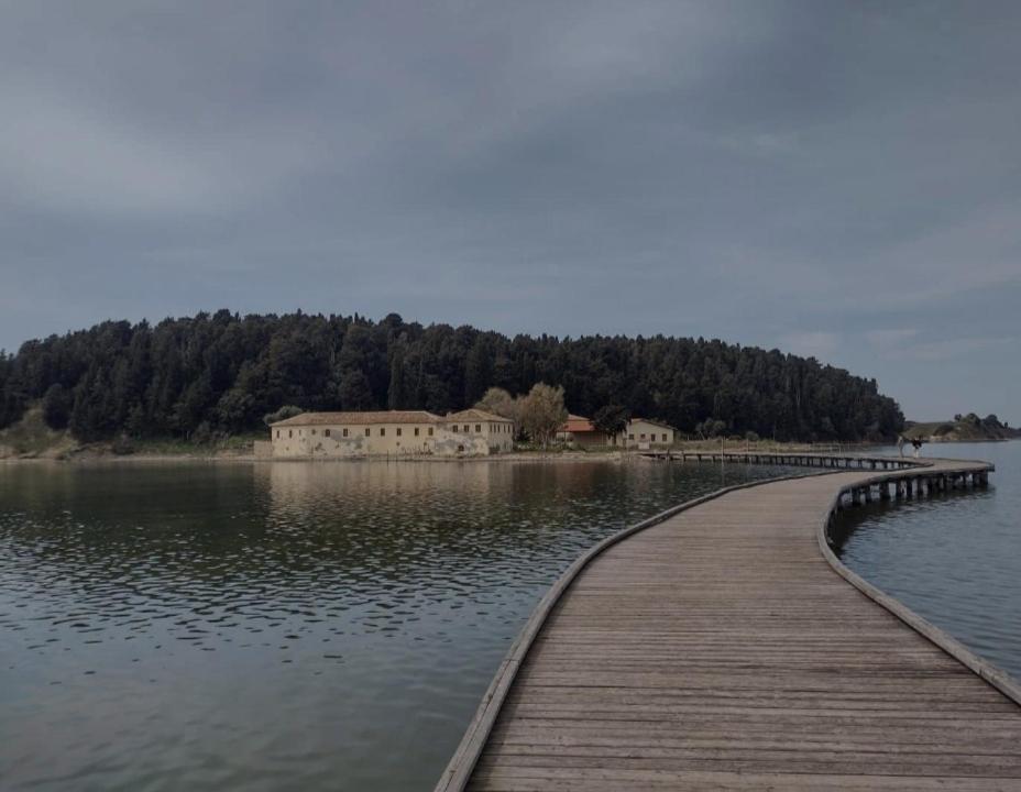 VILLA ELENI - Imazhi 6
