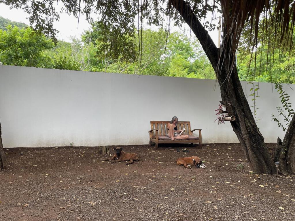 a woman sitting on a bench with two dogs at The Grand Mango in El Gigante