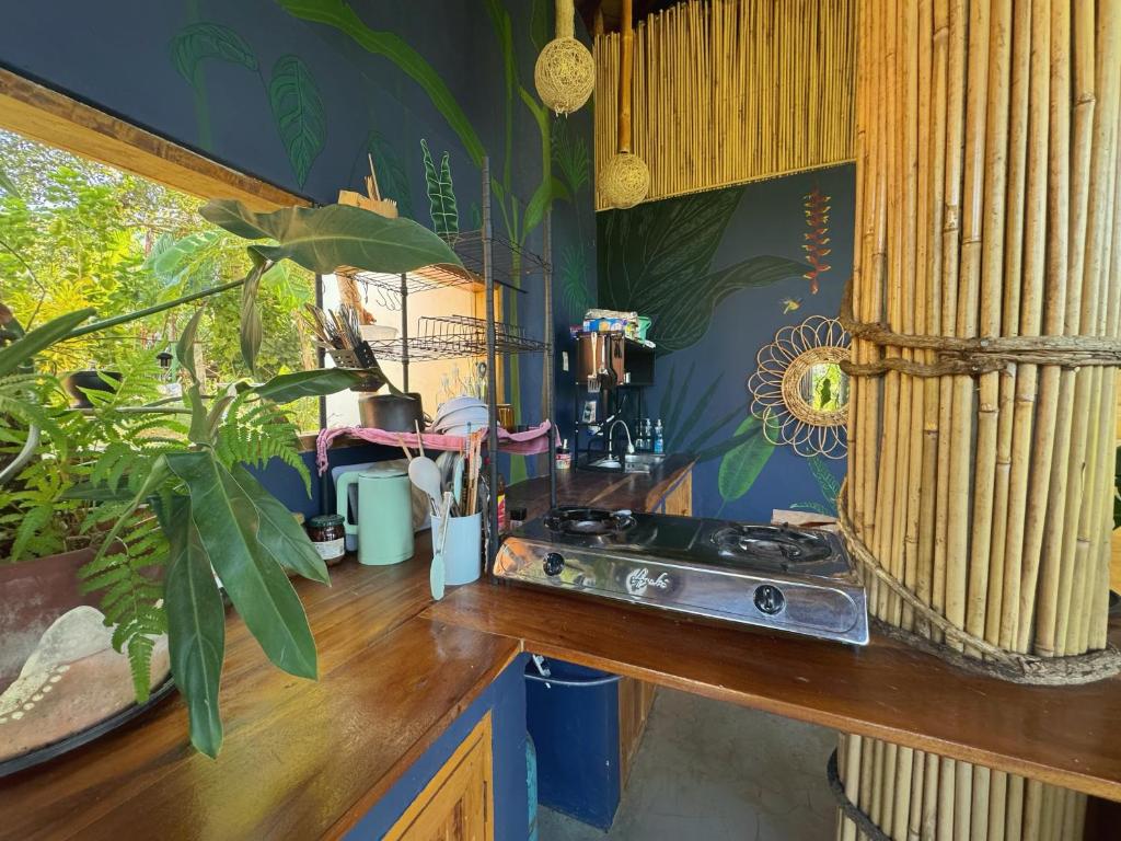 Fotografie z fotogalerie ubytování Jungle KingDomes Guest House v destinaci Siquijor