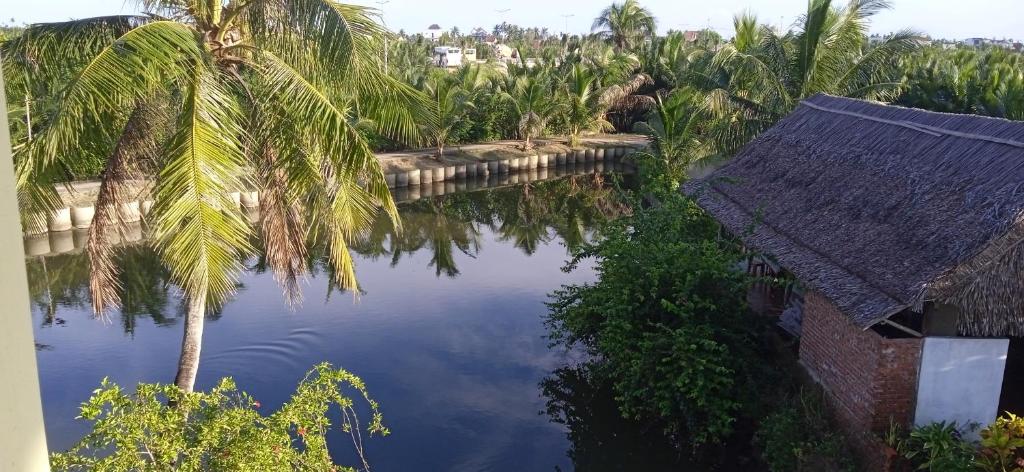Naturlandskabet i nærheden af den private indkvartering