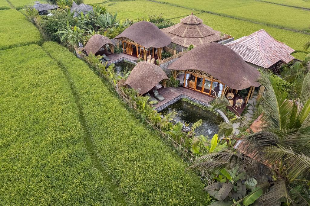 uma vista aérea de um resort num campo de arroz em Arapan Ubud Eco Villa em Ubud