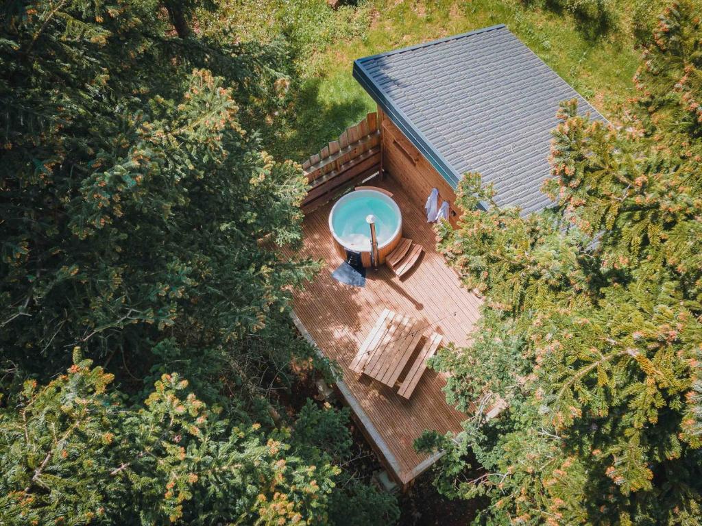 an overhead view of a house with a swimming pool at Cabane Chalet avec spa privatif in Charnay